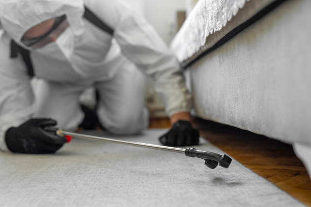 Professional Bed Bug Control technician working in Franklin Grove, IL