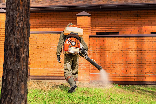 Trusted Fumigation Services service in Franklin Grove, IL - Nex Pest Control